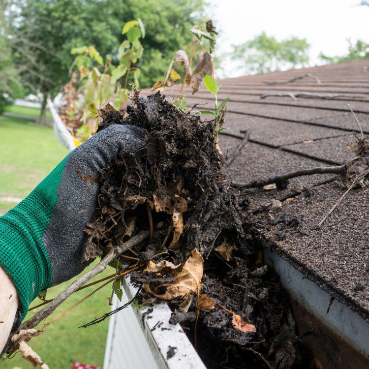 Exterior Services in Smyrna, GA Exterior Services in Smyrna, GA